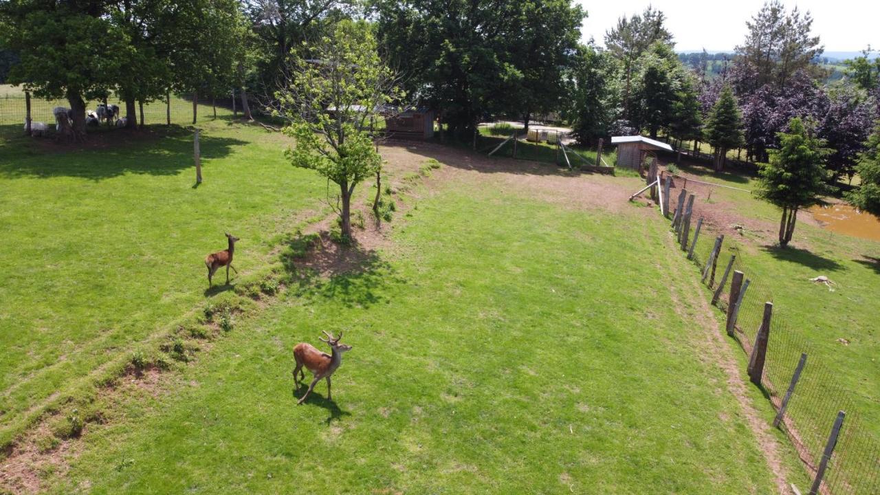 Vila Le Gagnage 31 Pers- Malmedy, Rustique, Vue, Wellness Exteriér fotografie
