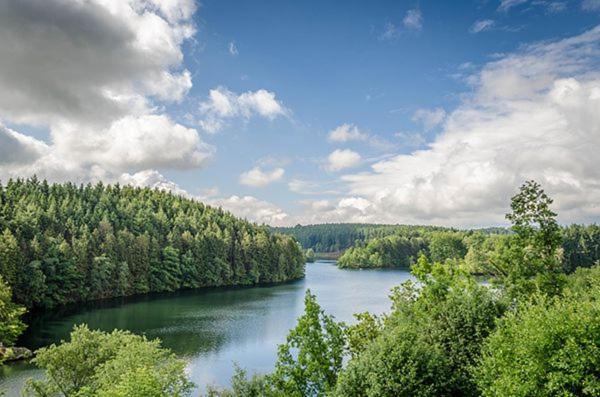 Vila Le Gagnage 31 Pers- Malmedy, Rustique, Vue, Wellness Exteriér fotografie